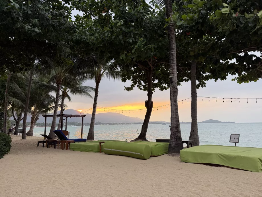 Hotel strandja napozóágyakkal naplementében