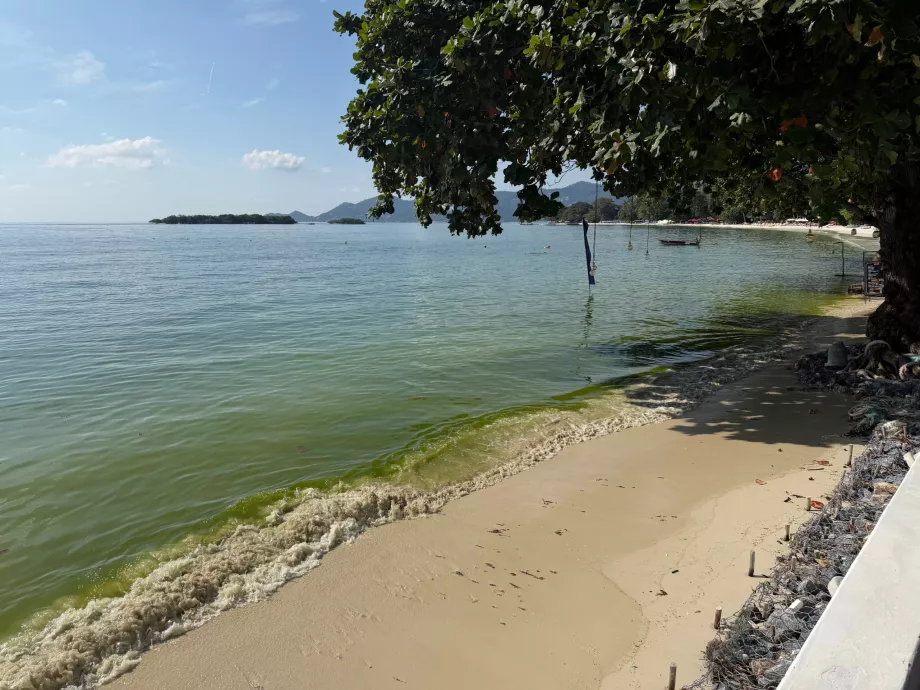 Hotel strandja tele algával