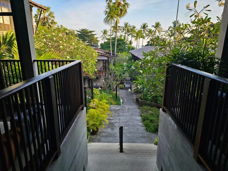 Homm Chura Samui a recepcióról nézve