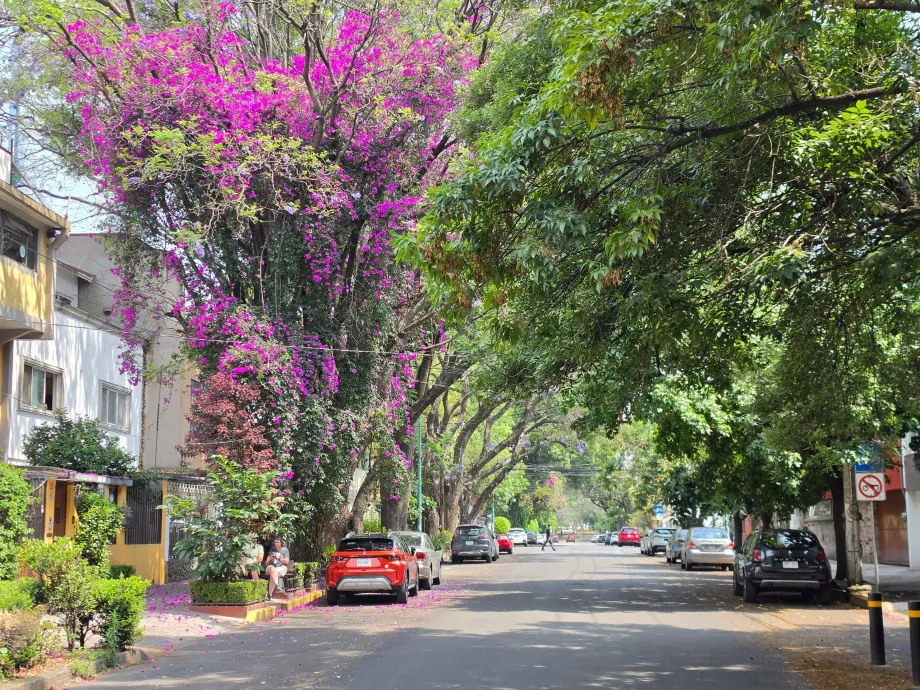 Coyoacán kerület
