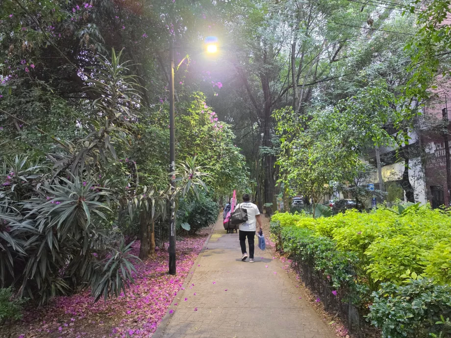 Condesa negyed