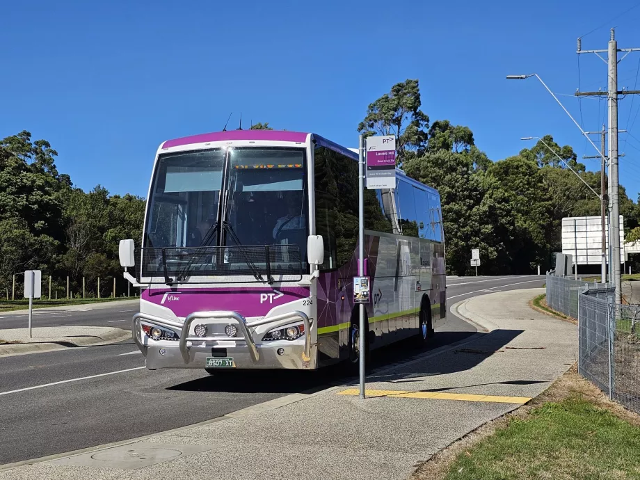 V/Line busz