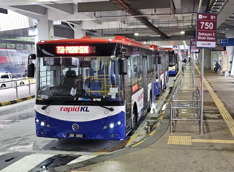 Rapid KL buszok