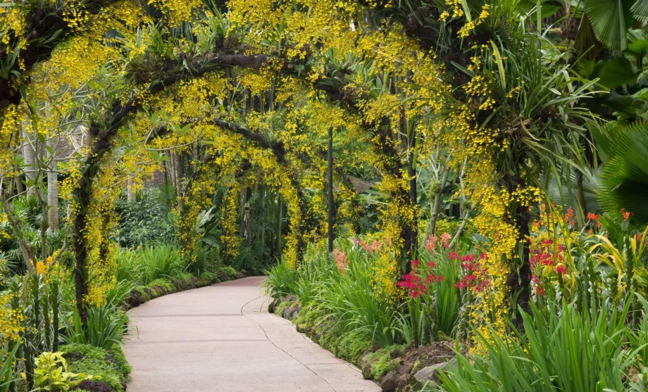 Szingapúri Botanikus Kert