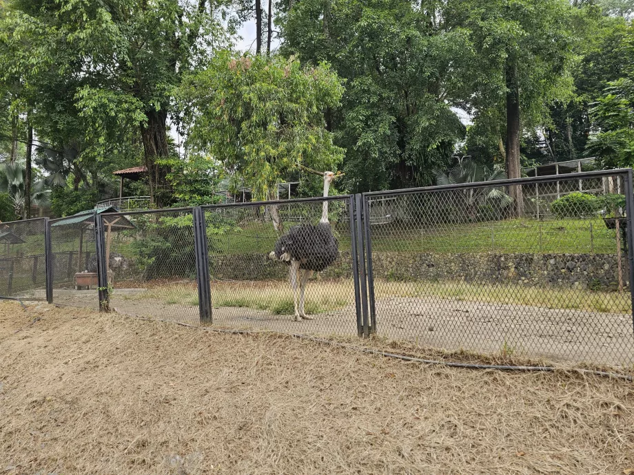 Madárpark