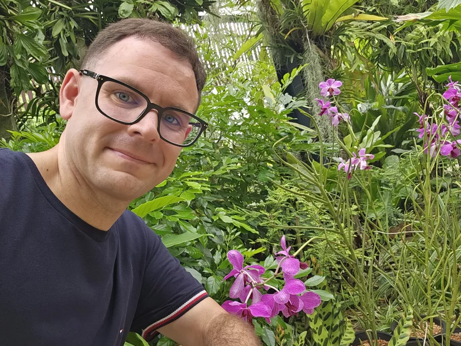 Orchidea kert