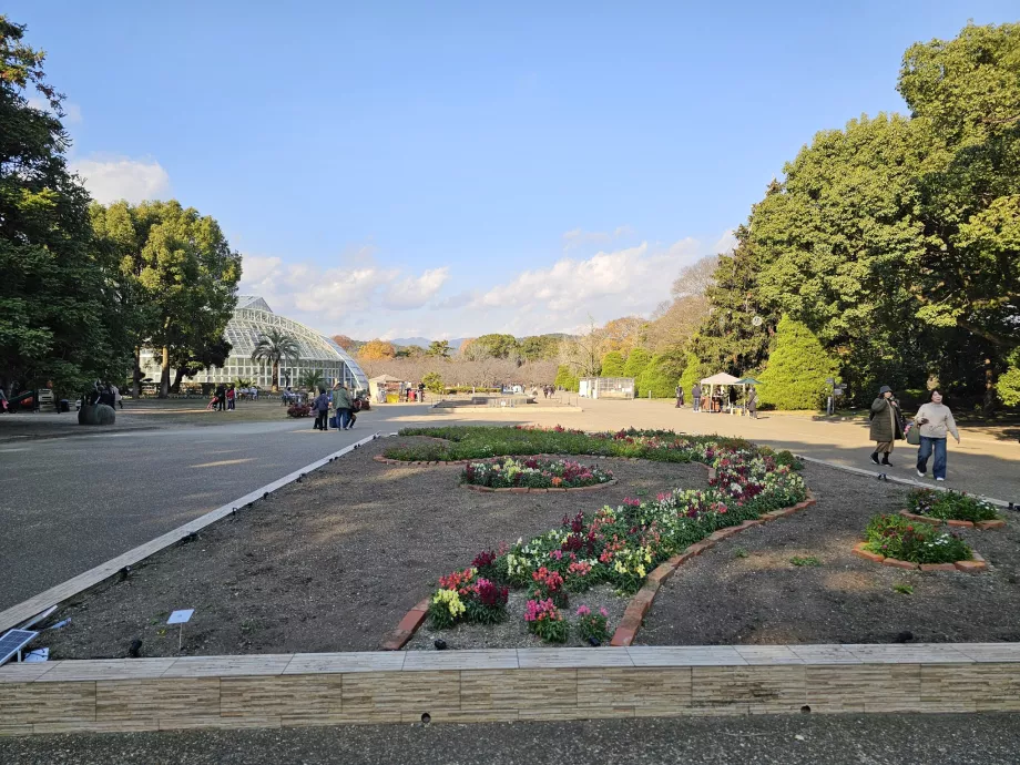 Kiotói Botanikus Kertek