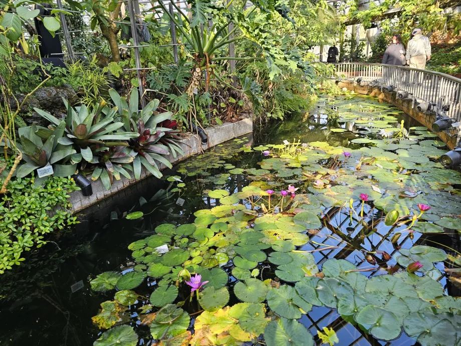 Kiotói Botanikus Kertek