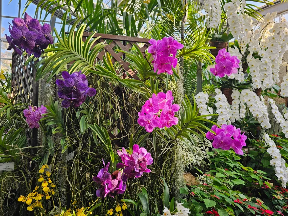 Kiotói Botanikus Kertek