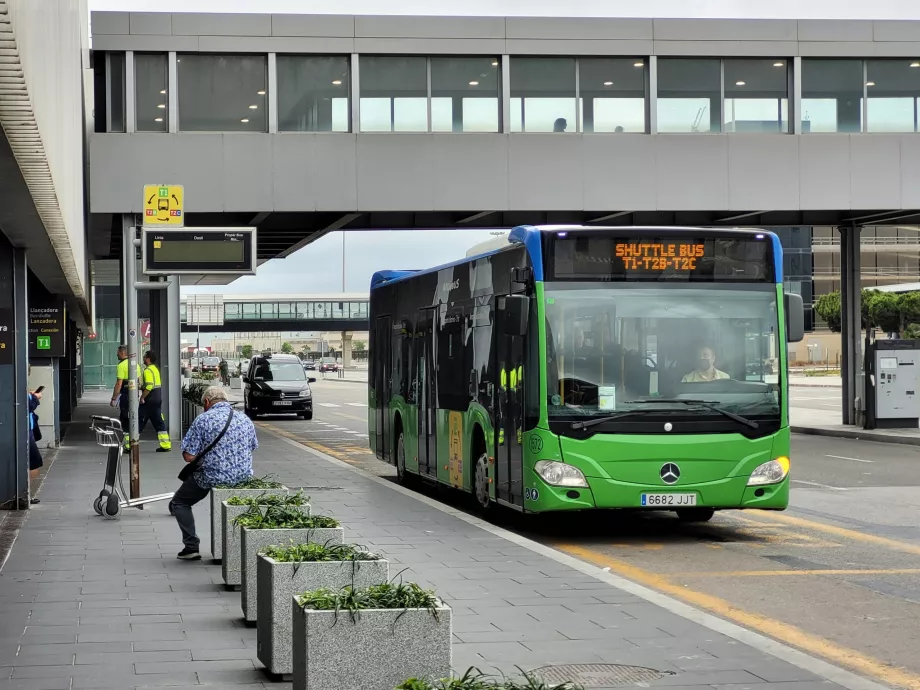 Ingyenes buszjárat a terminálok között