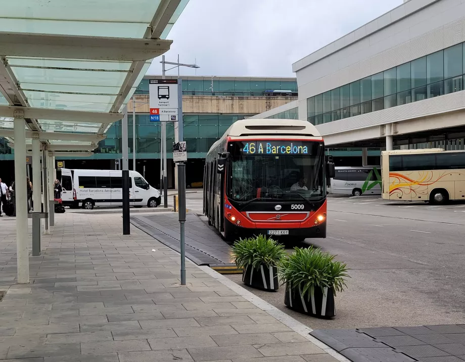46-os buszmegálló az 1-es terminálnál
