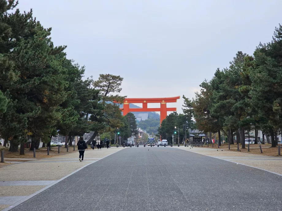 Nagy Torii