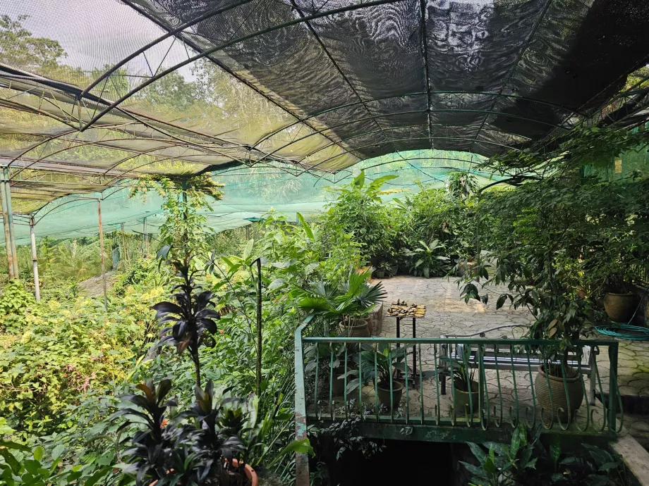 Pillangó park