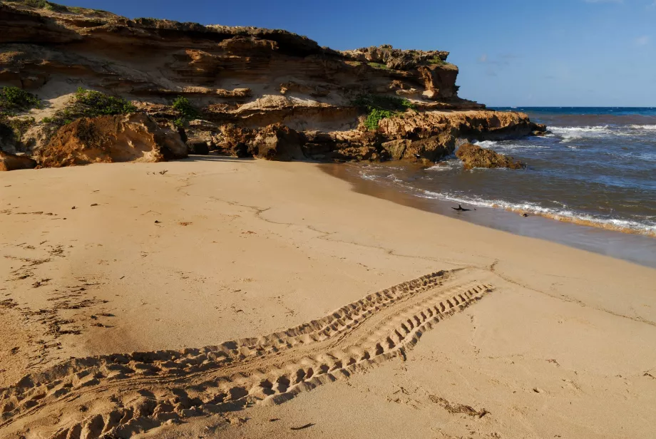 Moomomi strand