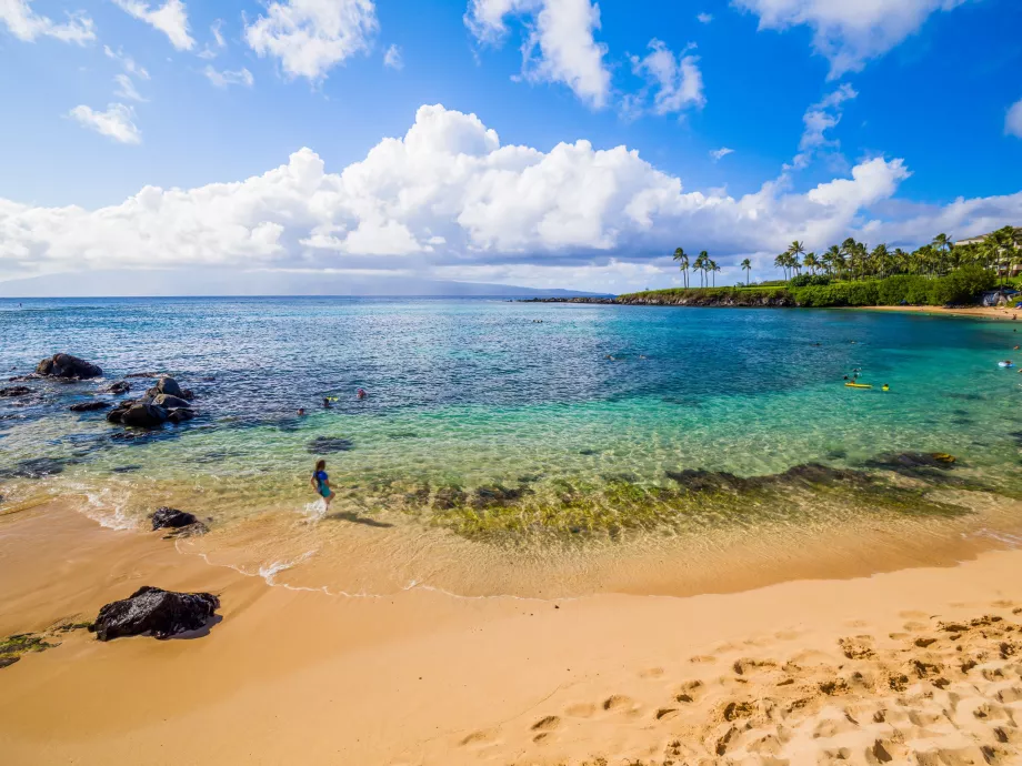 Kapalua-öböl