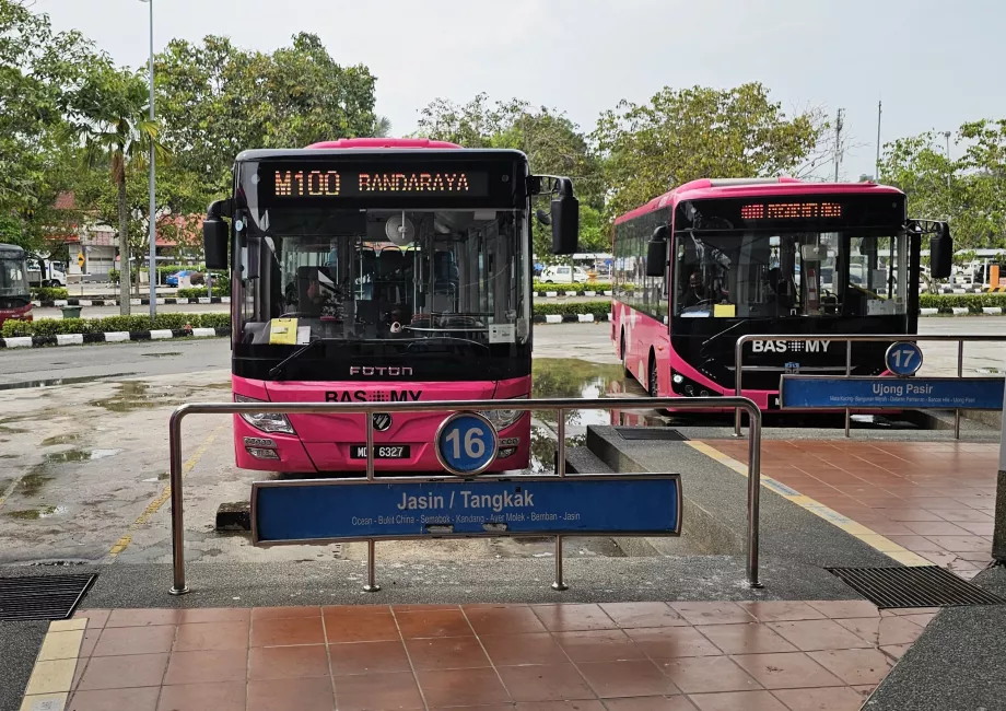 100-as busz a buszpályaudvarról a központba