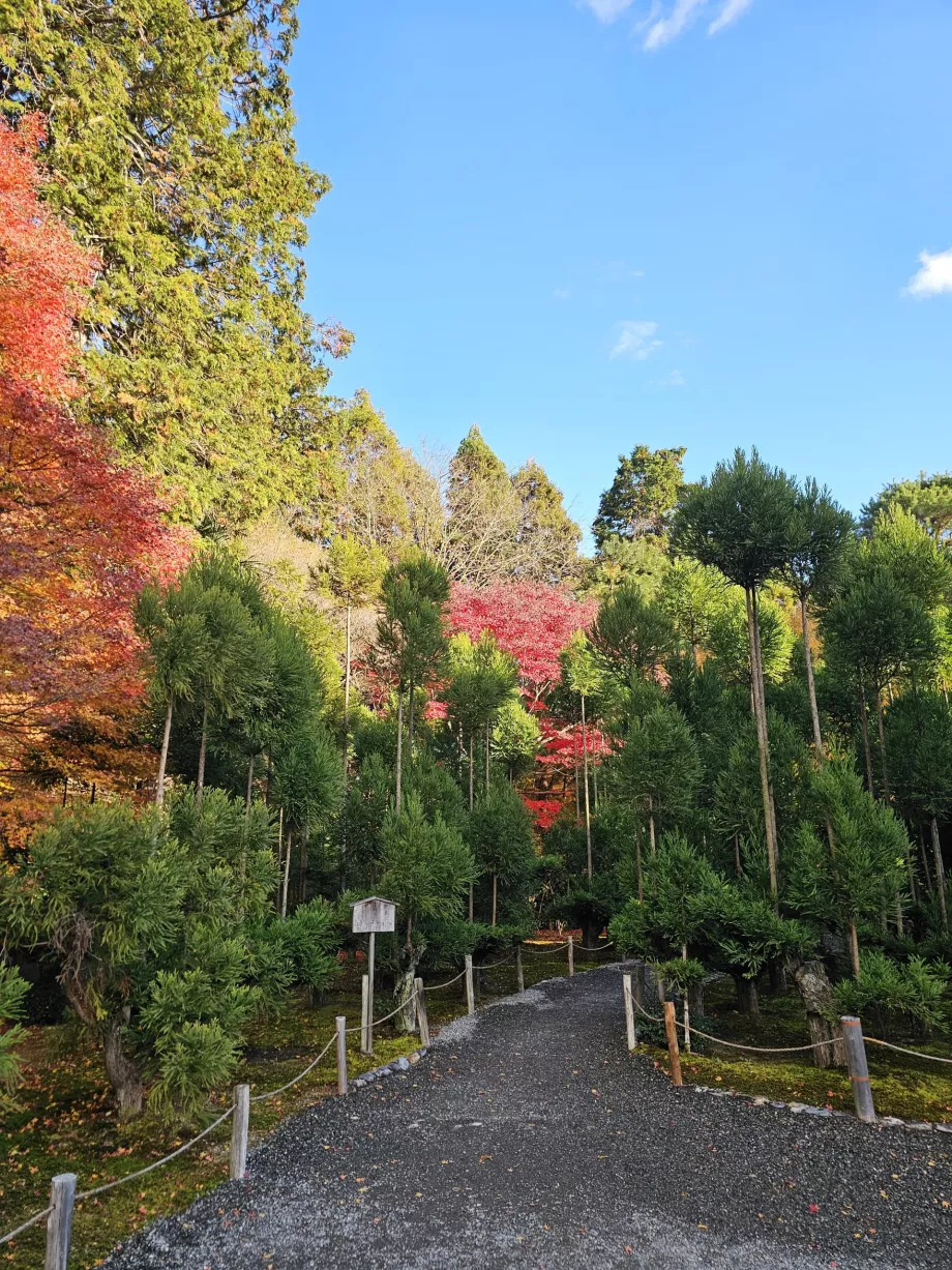 Ryoan-ji templom