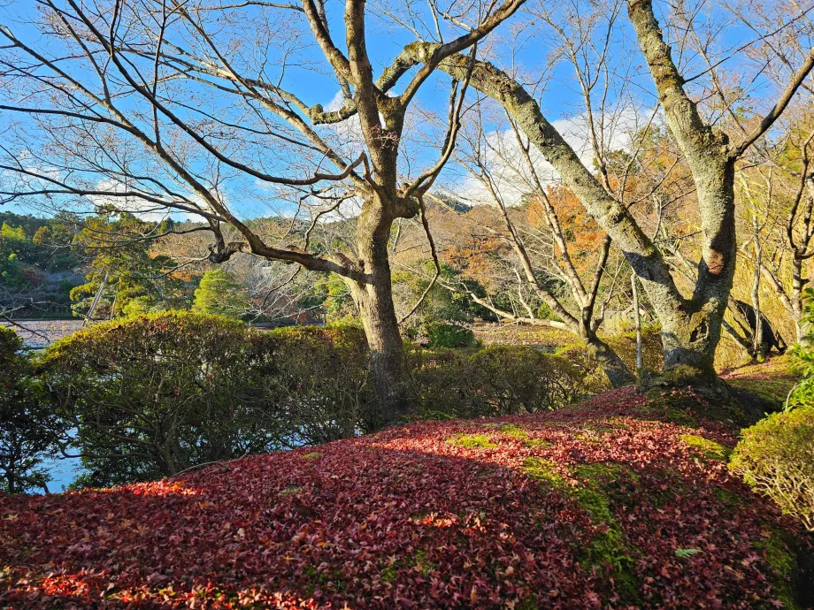 Ryoan-ji templom