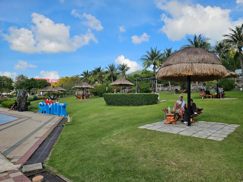 Pavilonok a repülőtér előtt, nyilvános rész