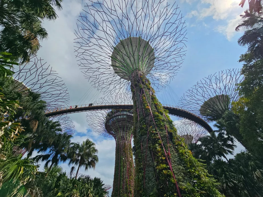 Garden by the Bay, OCBC Skyway