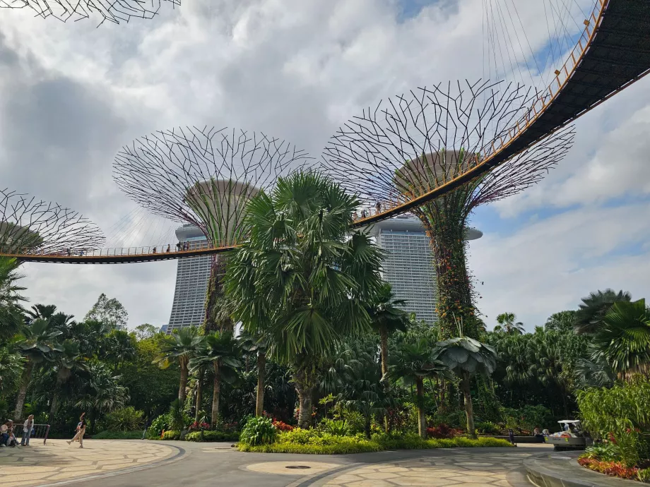 Garden by the Bay, OCBC Skyway