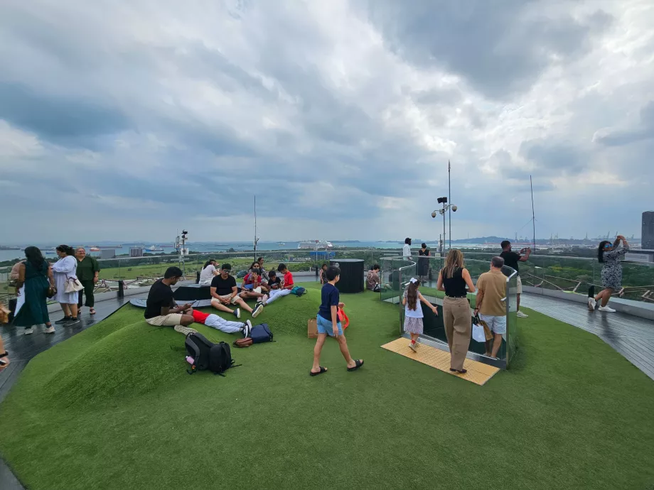 Szuperfa Obszervatórium