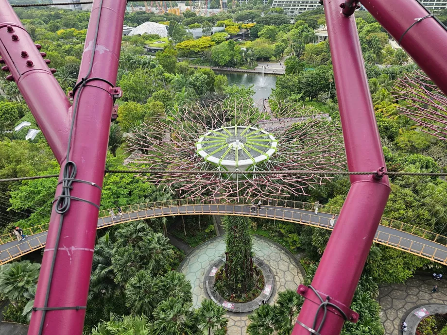 Szuperfa Obszervatórium