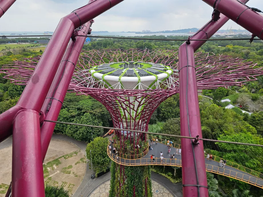 Szuperfa Obszervatórium