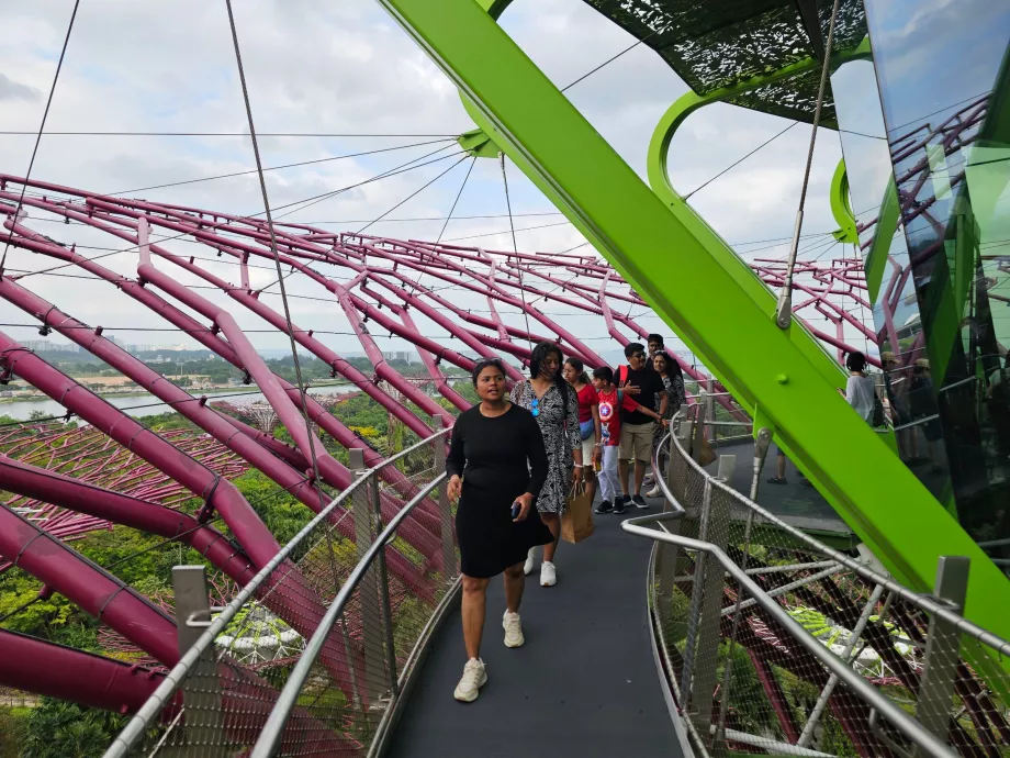 Szuperfa Obszervatórium