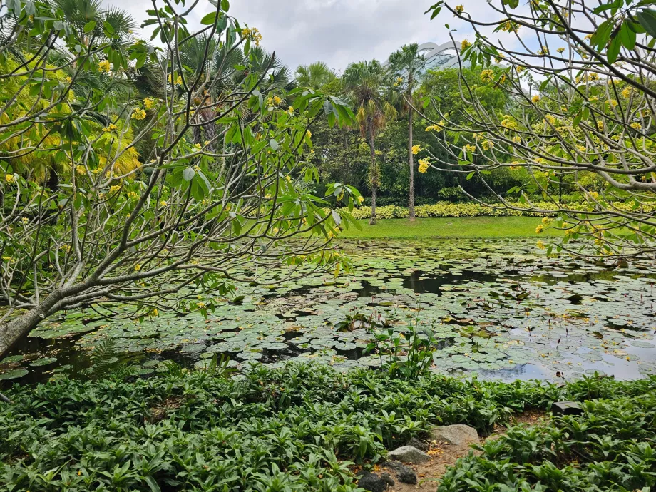 Kertek az öböl mellett