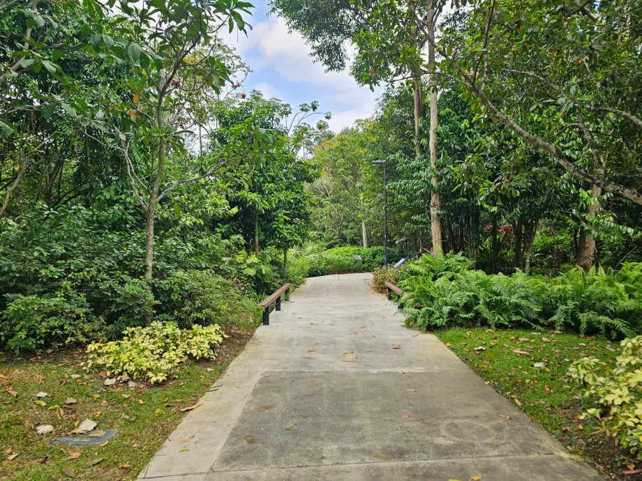 Kertek az öböl mellett