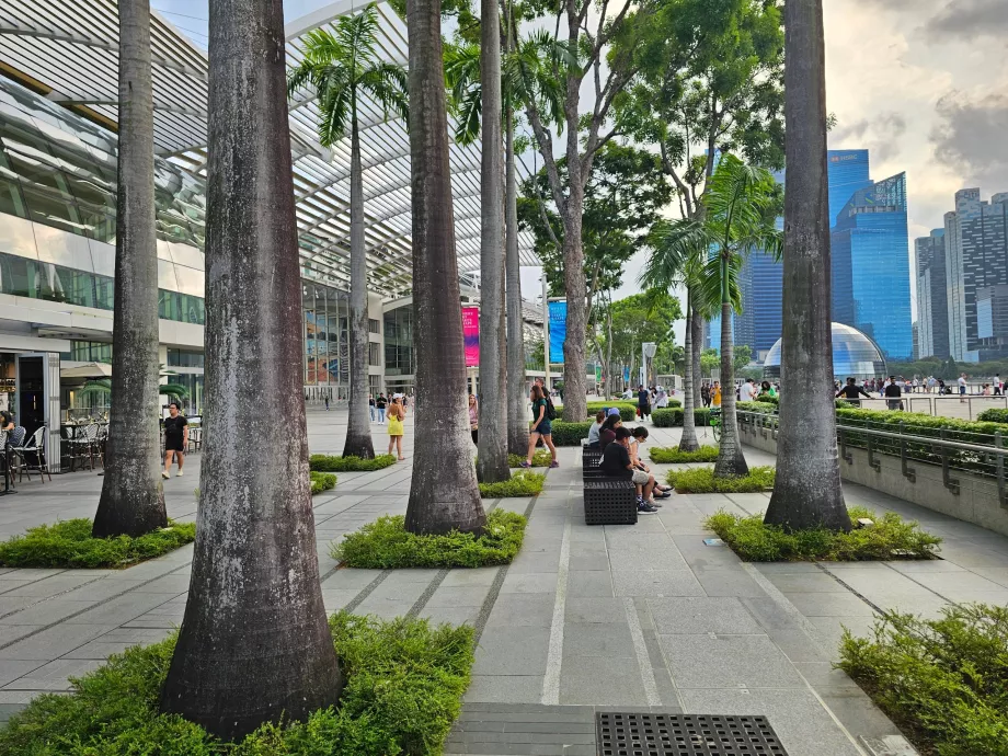 Sétány az MBS előtt