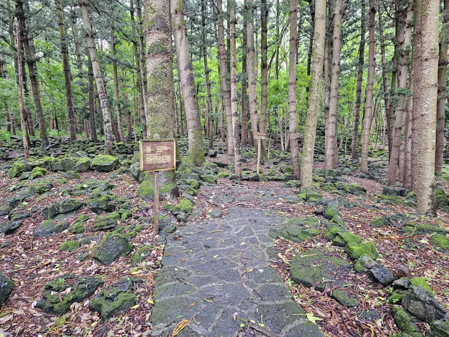 Bras d'Eau Nemzeti Park, túraútvonal