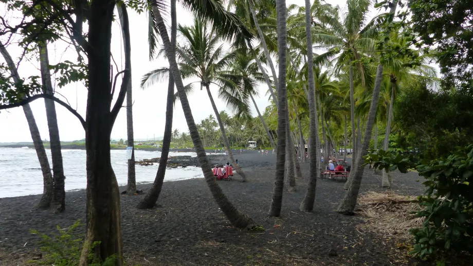 Pálmaliget a Punaluu Beach-en