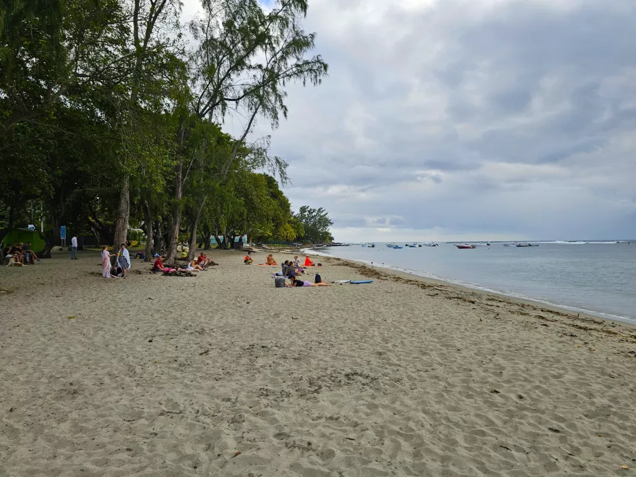 Tamarin strand