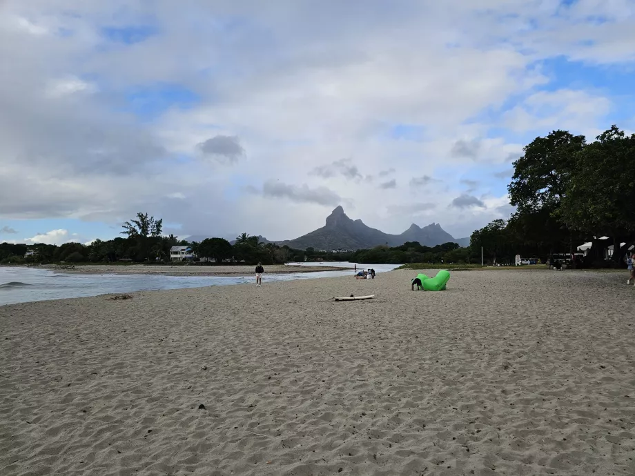 Tamarin strand