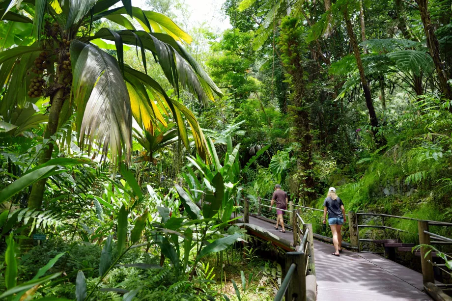 Hawaii trópusi botanikus kert