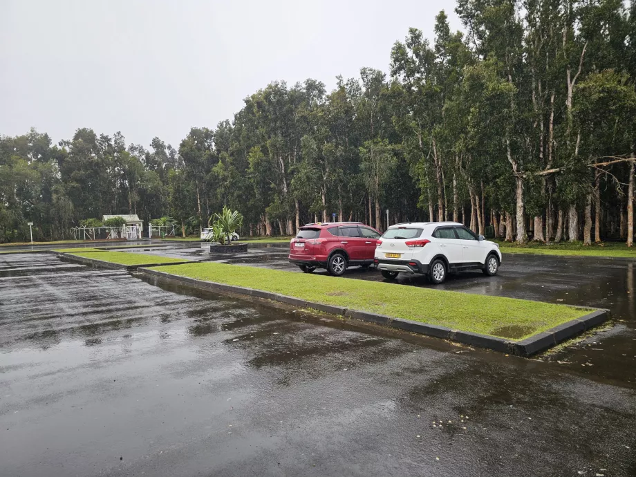 Parkolás az Alexandra Fallsnál