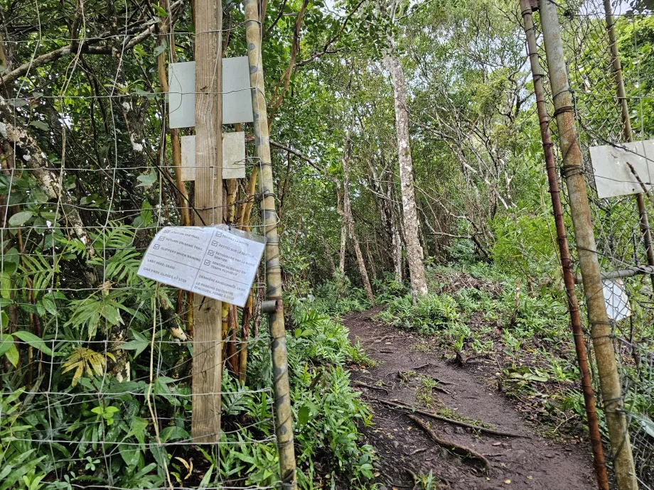 A Piton du Canot bejárata