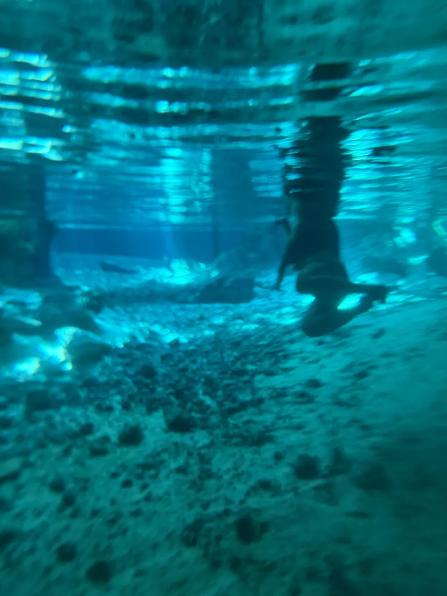 Kilátás a Gran Cenote víz alatti világára