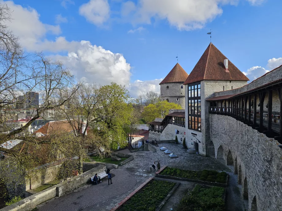 Mennyi a Kök