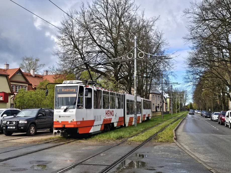 Villamos Tallinnban