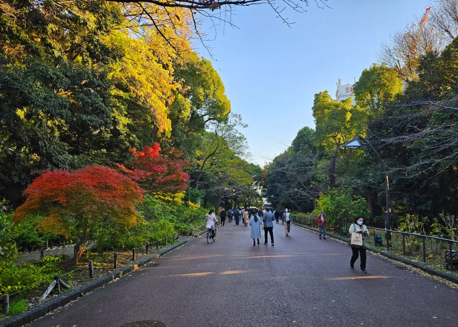 Ueno Park
