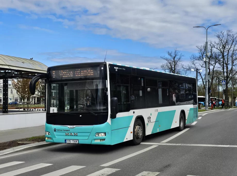 Autóbuszok Tallinn