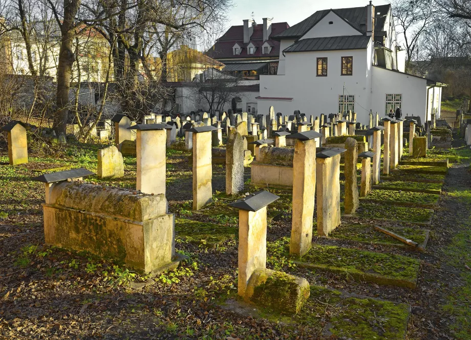 Remuh zsinagóga