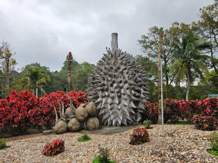 Mágikus kő gyümölcsök