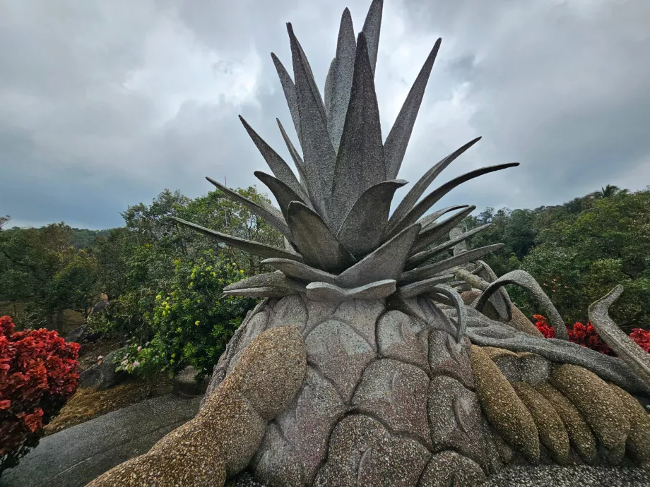 Mágikus kő gyümölcsök