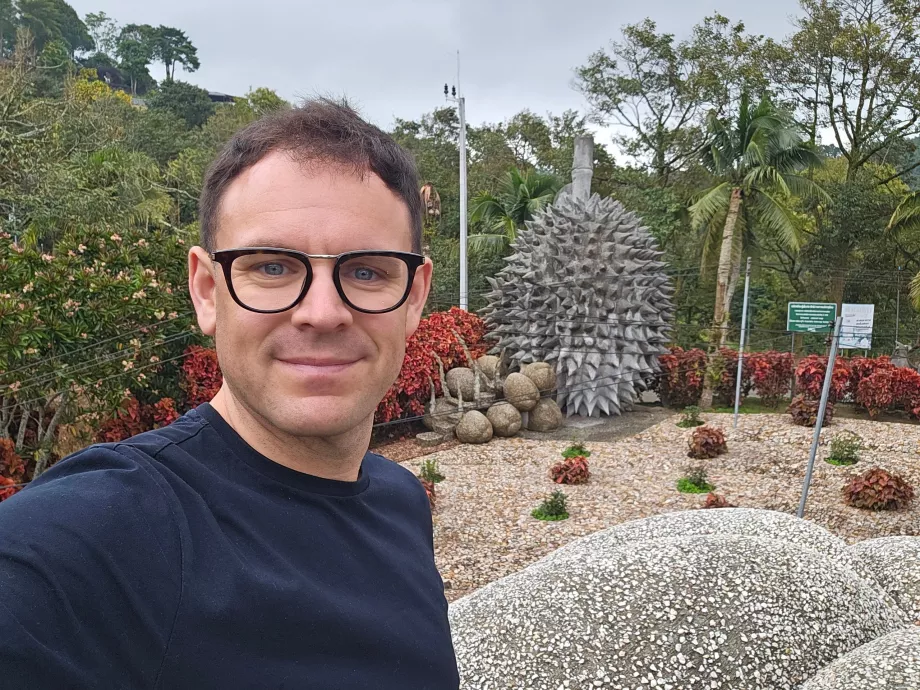 Mágikus kő gyümölcsök