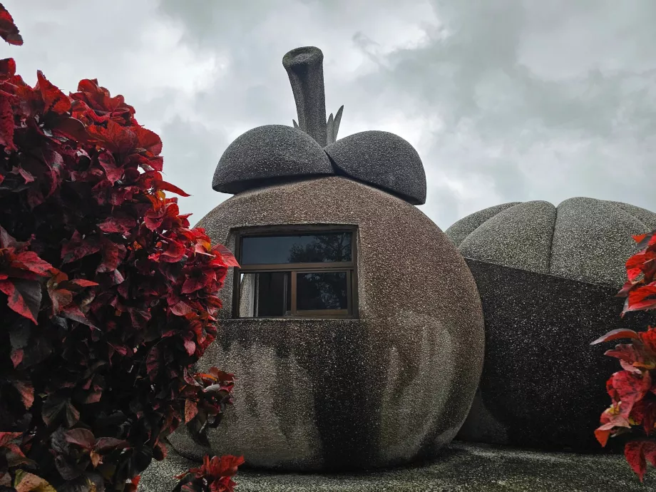 Mágikus kő gyümölcsök