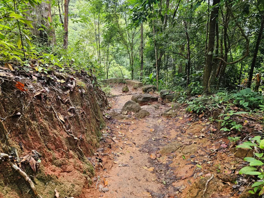 Út a Namuang vízeséshez 2